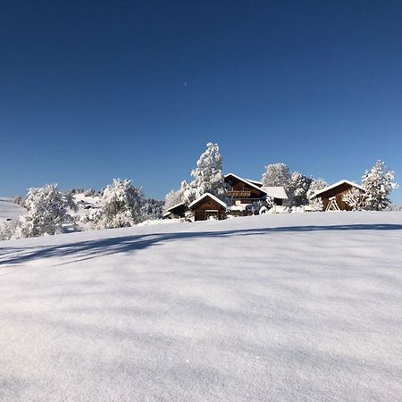 Ferienwohnung Aigisblick Mit Pool Und Sauna, Direkt Am Skihang Missen-Wilhams Luaran gambar